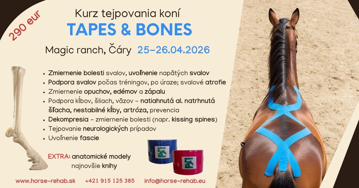 Kurz tejpovania koní TAPES & BONES
